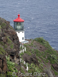 This is a picture of the Makapuu light house on Oahu's ea... by Stuart Ganz 